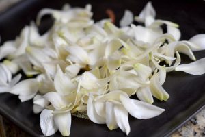 petalos de flor de izote